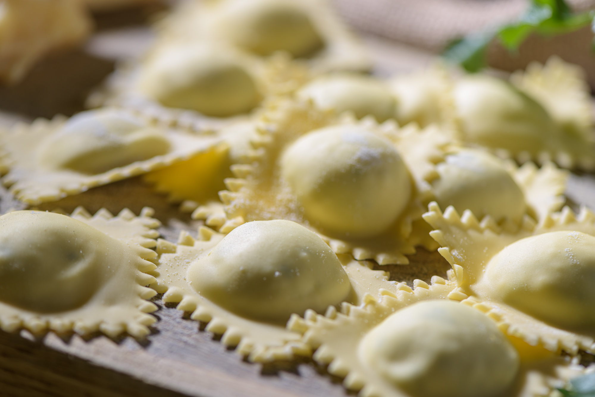 Pasta ripiena Pasta Fresca Fiorella Camogli (GENOVA)